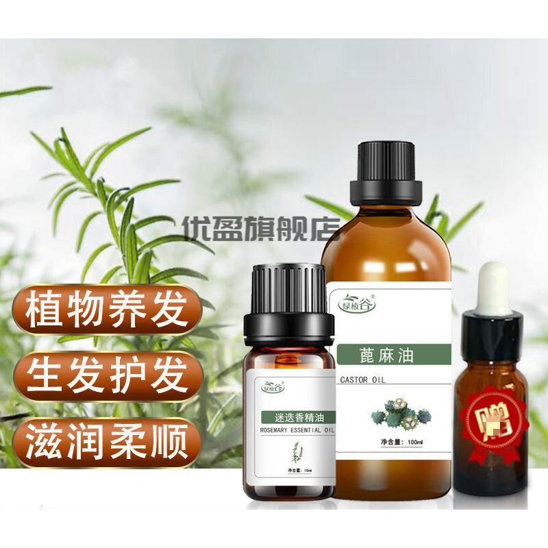 天然护发油全解析 蓖麻油、迷迭香与生姜精油如何拯救干枯毛躁发质